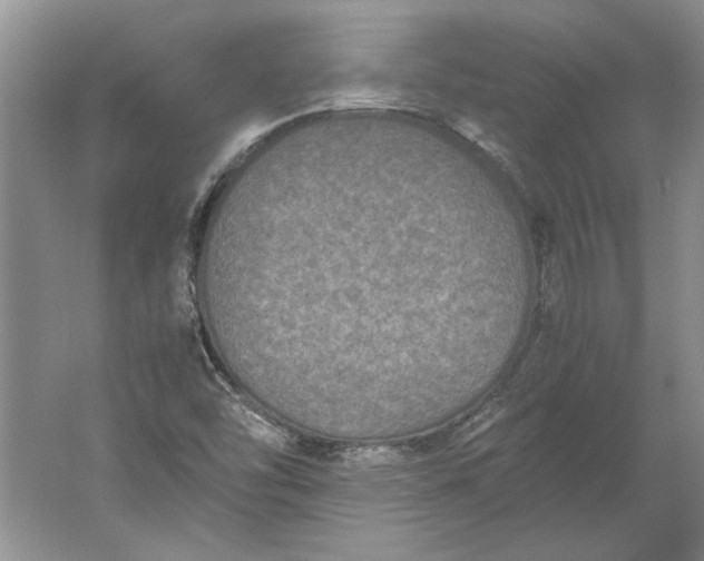 X0000061721454200512161542