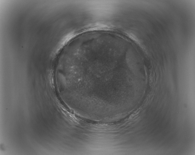 X0000061721455200512161542