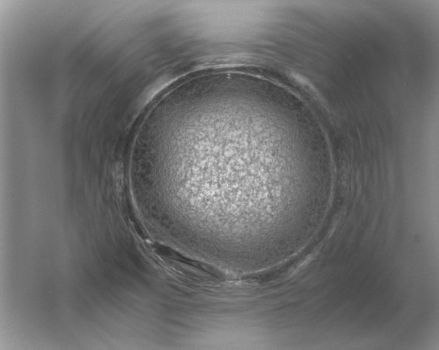 X0000061721457200512161542