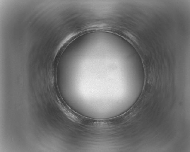 X0000061721458200512161542