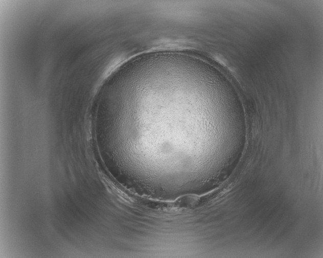 X0000061721459200512161542