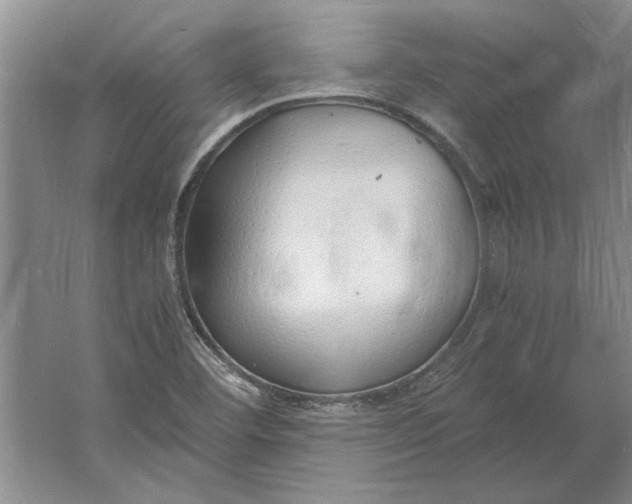 X0000061721460200512161542