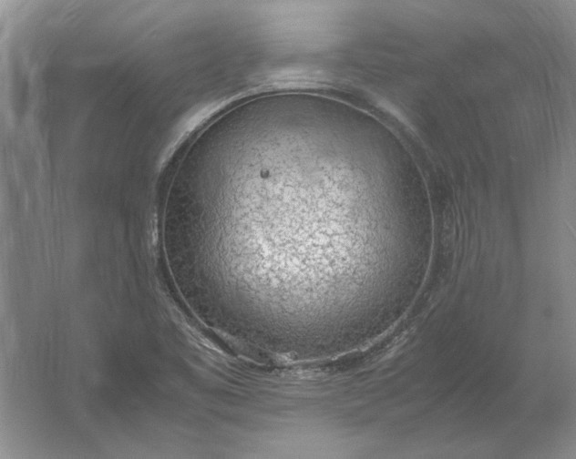 X0000061721461200512161542