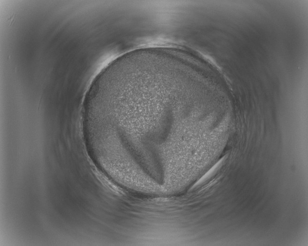 X0000061721463200512161542