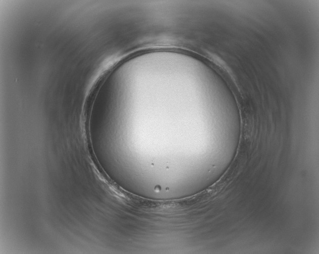 X0000061721464200512161542