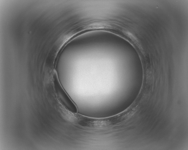 X0000061721465200512161542