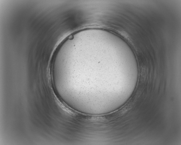 X0000061721466200512161542