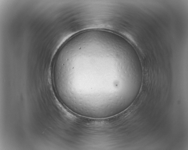 X0000061721468200512161542