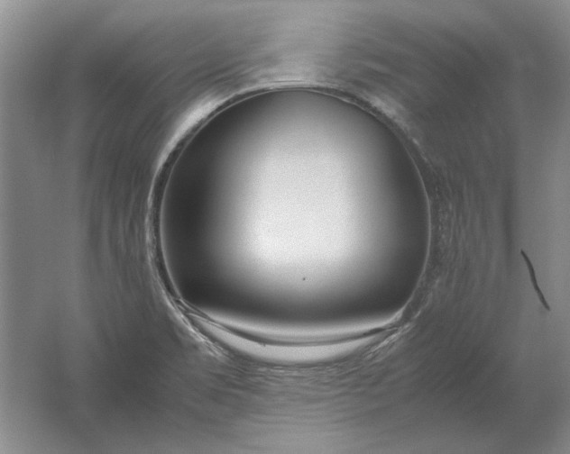 X0000061721469200512161542