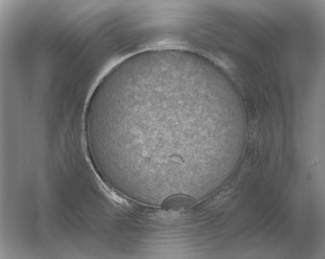 X0000061721470200512161542