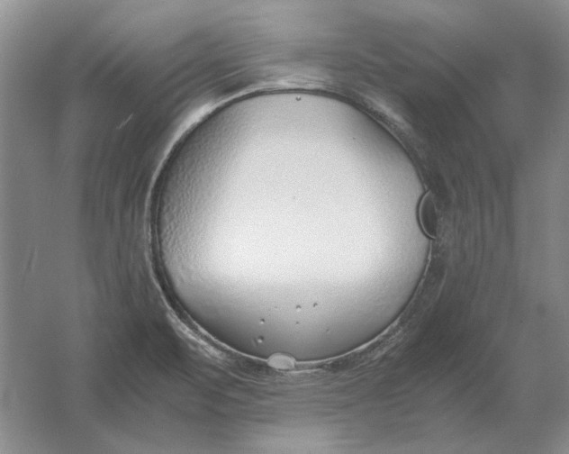 X0000061721471200512161542