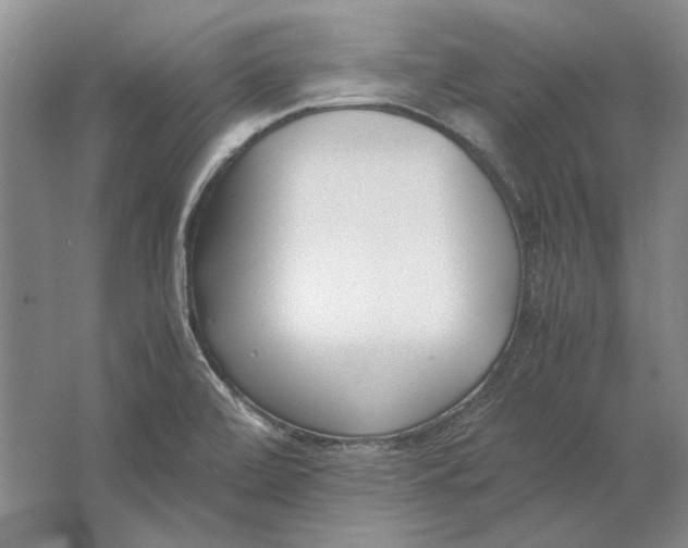 X0000061721472200512161542