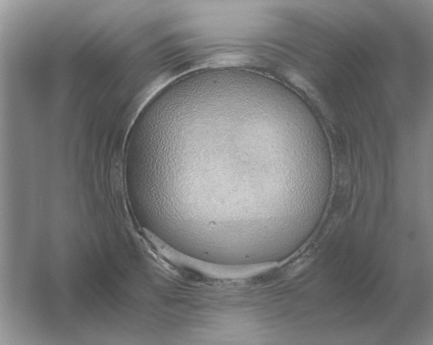 X0000061721473200512161542