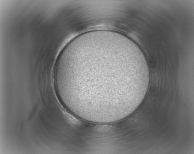 X0000061721474200512161542