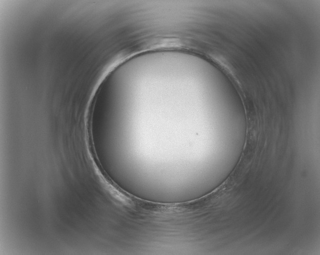 X0000061721475200512161542