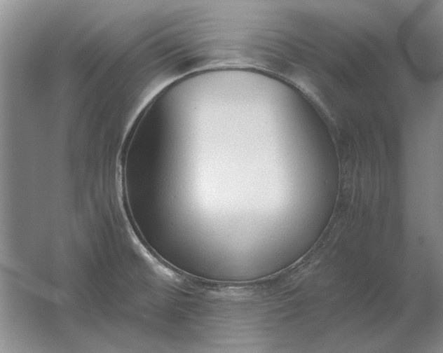 X0000061721476200512161542