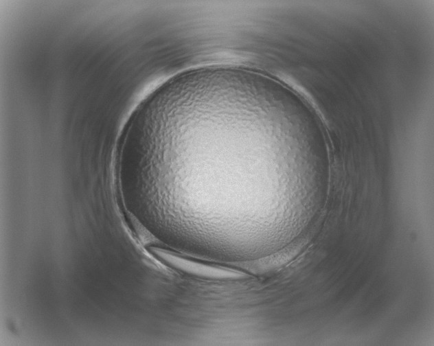 X0000061721477200512161542