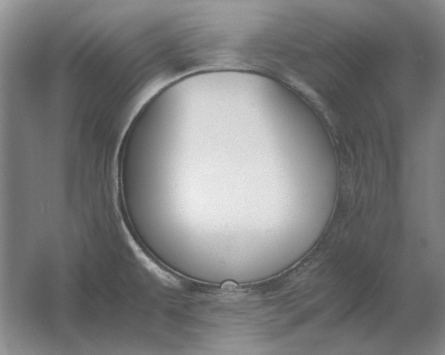 X0000061721479200512161542