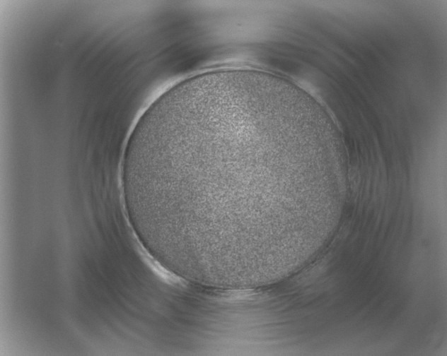 X0000061721482200512161542