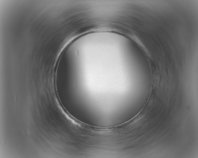 X0000061721484200512161542