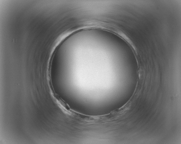 X0000061721485200512161542