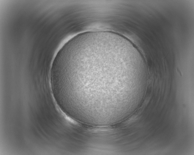 X0000061721486200512161542