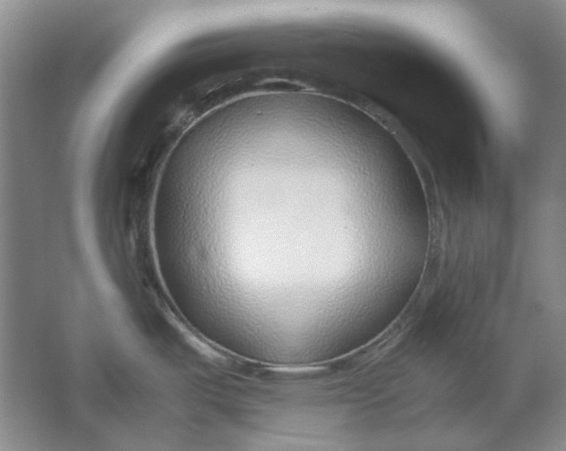 X0000061721487200512161542