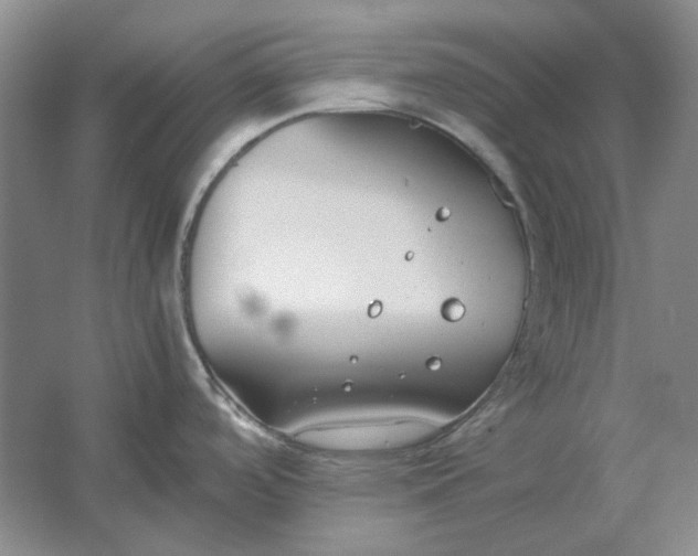 X0000061721488200512161542