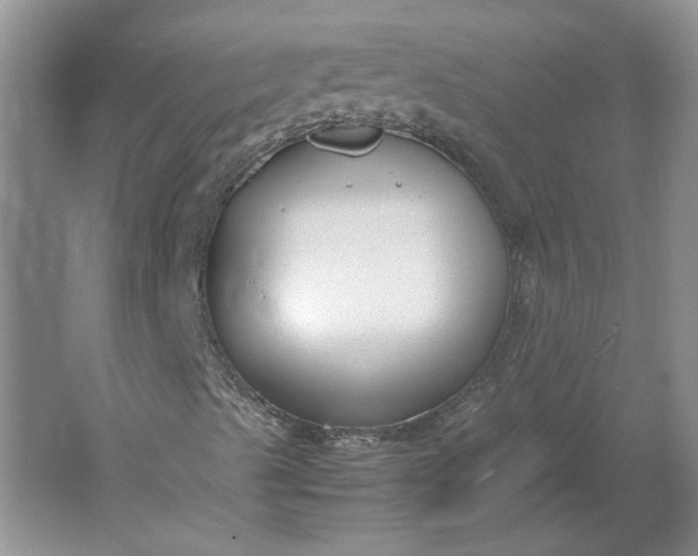 X0000061721489200512161541