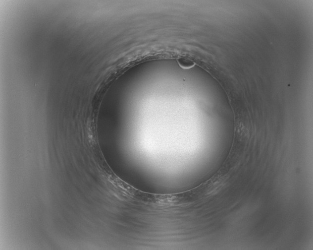 X0000061721490200512161541