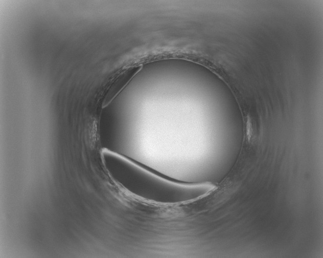 X0000061721492200512161541