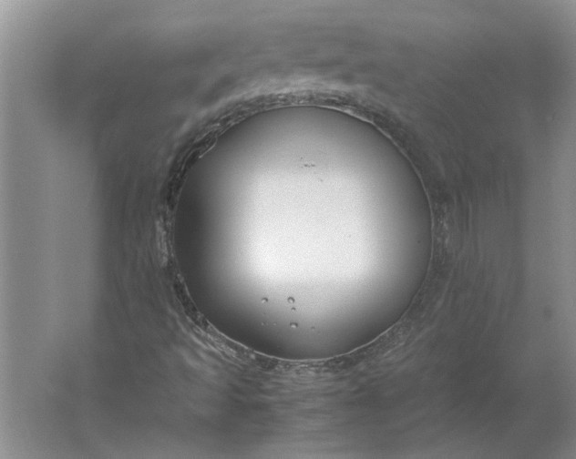 X0000061721493200512161541