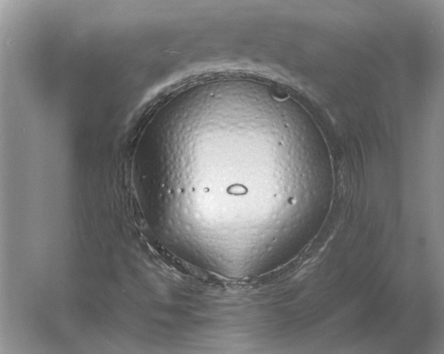 X0000061721494200512161541