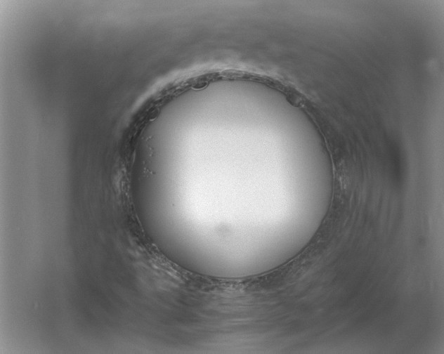 X0000061721495200512161541