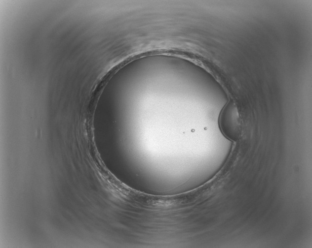 X0000061721497200512161541