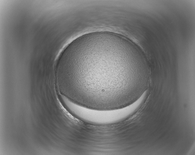 X0000061721500200512161541