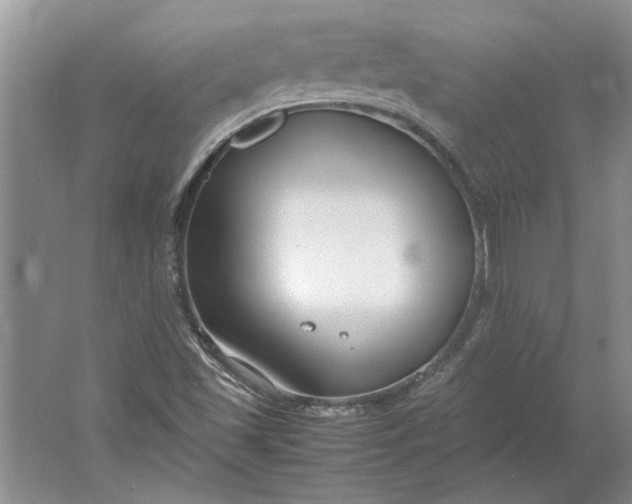 X0000061721501200512161541