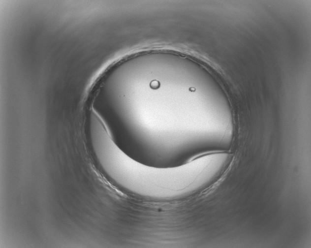 X0000061721502200512161541