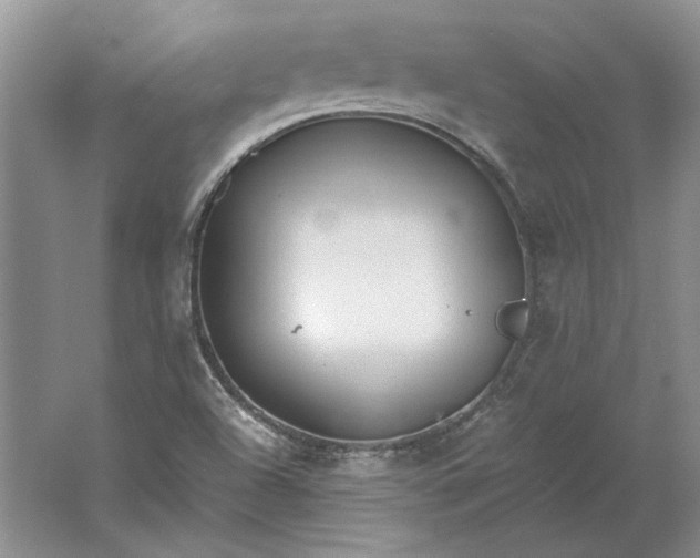 X0000061721504200512161541