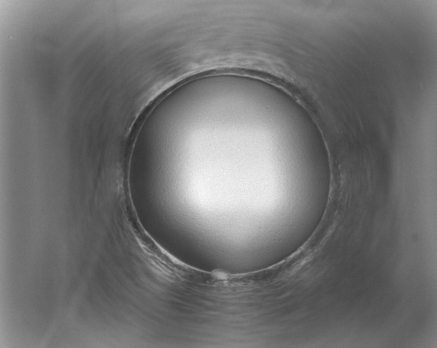 X0000061721505200512161541