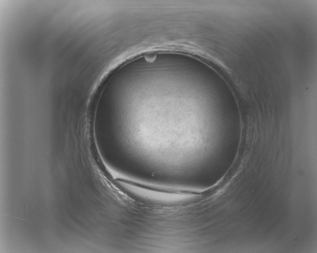 X0000061721506200512161541