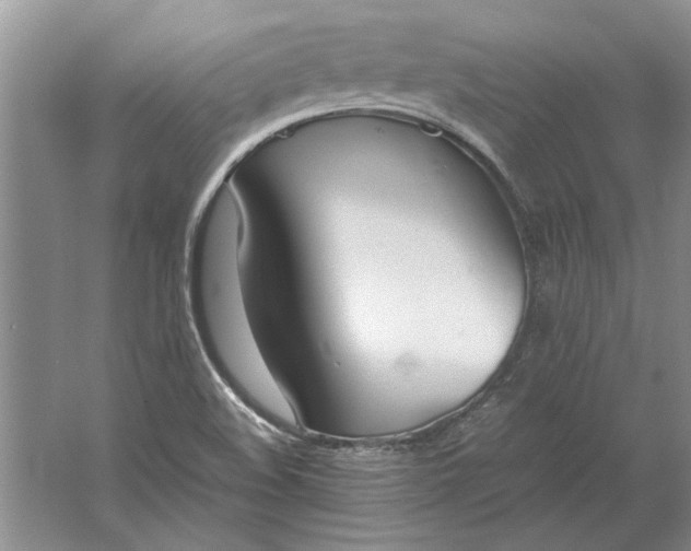 X0000061721508200512161541