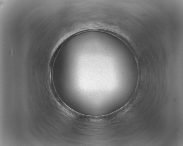 X0000061721509200512161541