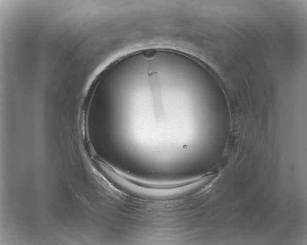 X0000061721510200512161541