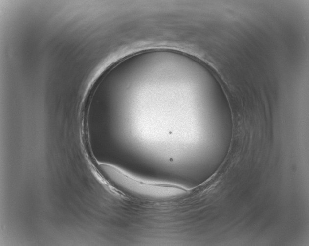 X0000061721511200512161541