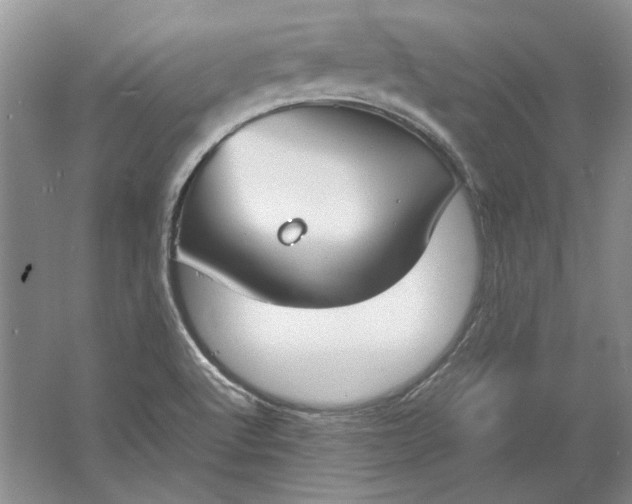 X0000061721512200512161541