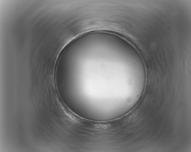 X0000061721513200512161541