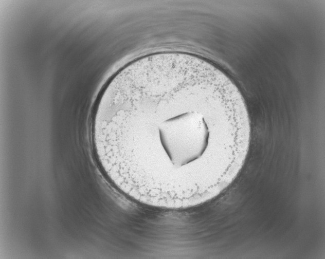 X0000061721514200512161541