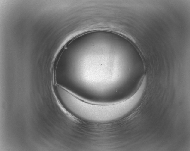 X0000061721515200512161541