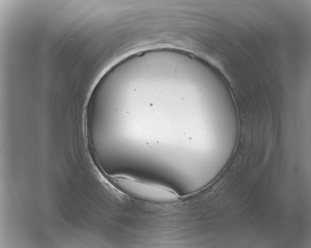 X0000061721516200512161541